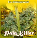Dr. Underground PainKiller