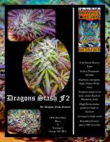 Dragons Flame Genetics Dragons Stash