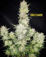 E-M Seeds E-M Cake