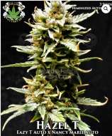 Eazy Daze Cultivators Hazel T