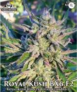 Emerald Mountain Legacy Royal Kush Bx6 F2