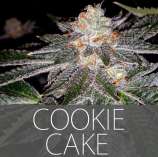 Exclusive Seeds Cookie Cake