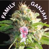 Family Ganjah La Loca Lola
