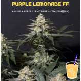Fast Buds Company Purple Lemonade FF