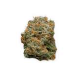 Fatbush Seeds Blue Dream