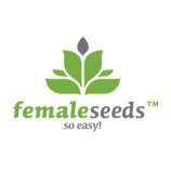 Female Seeds Auto Critical
