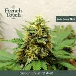 French Touch Seeds Auto Douce Nuit