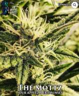 Gas Reaper Genetics The Mottz