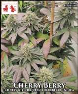 Goat and Monkey Seeds Cherry Berry