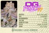 Green Lion Seeds OG Punch