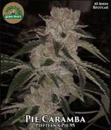 Green Team Genetics Pie Caramba