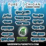 Green Wolf Genetics Apple Cider