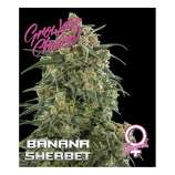 Growers Choice Banana Sherbet