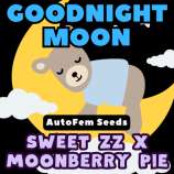 Happy Bird Seeds Goodnight Moon