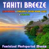 Happy Bird Seeds Tahiti Breeze