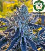 Heart & Soil Seeds Peruvian Punch