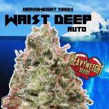 Heavyweight Seeds Waist Deep Auto