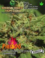 Humboldt Seed Company Fire OG