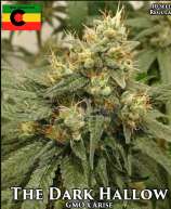 Irie Genetics The Dark Hollow