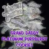 Johnston's Genetics Grand Daddy Platinum PurpBerry Cookies
