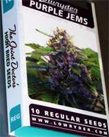 Joint Doctor Purple Jems