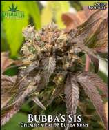 Katsu Seeds Bubba’s Sis