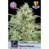 Kera Seeds Critical