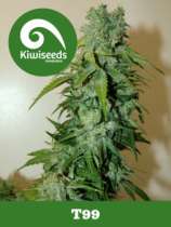 Kiwiseeds T99