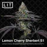 Lit Farms Lemon Cherry Sherbert