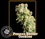 Lucky 13 Seed Company Peanut Butter Cookies