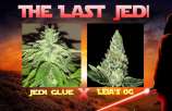 MadCat's Backyard Stash The Last Jedi