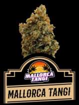 Mallorca Seeds Mallorca Tangi