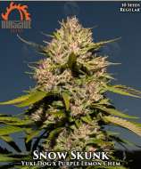 Massive Seeds Snow Skunk