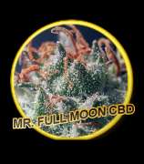 Mr. Hide Seeds Full Moon CBD