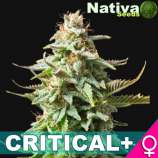 Nativa Seeds Critical+