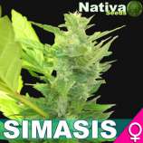 Nativa Seeds Simasis