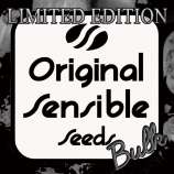 Original Sensible Seeds Bruce Bogtrotter