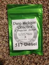 Pure Michigan Genetics 517 Diesel