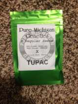 Pure Michigan Genetics Tupac
