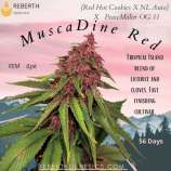 Reberth Genetics MuscaDine Red