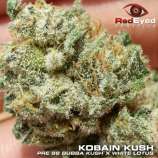 RedEyed Genetics Kobain Kush