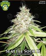 Seattle Chronic Seeds Seattle Sour D