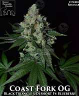 Second Generation Genetics Coast Fork OG