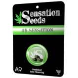 Sensation Seeds Auto AK