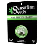 Sensation Seeds Northern Light Auto