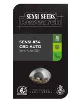 Sensi Seeds Sensi #34 Auto CBD