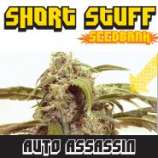 Short Stuff Seedbank Auto Assassin