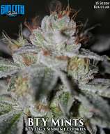 Sin City Seeds BTY Mints