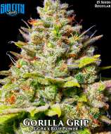 Sin City Seeds Gorilla Grip