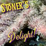 Skunk House Genetics Stoner’s Delight